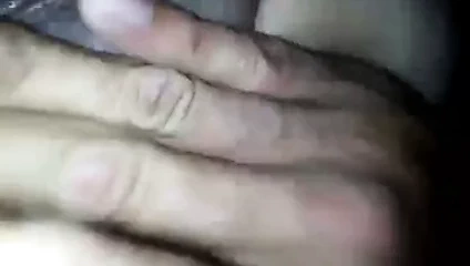 Nz şişman kedi parmak