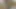 Bacaklı Ve Büyük Şişeli Zenci Kızı Sikiyor