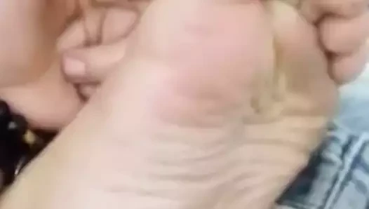 Pelmata
