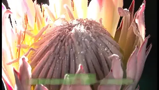 Terli baştan çıkarma. Kısa saçlı güzellik kendini saf içgüdüye kaptırıyor. - 4