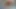 Çıplak Yağlanmış Solo Göt Tıkacı Göt Dildo Sikiş Yağlanmış Ayakları Patlayıcı Boşalma