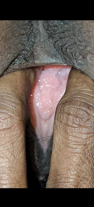 Zevk