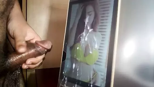 Pattaraya chayakonnan döl haraç