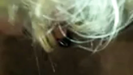 karısının göğüsleri mastürbasyon