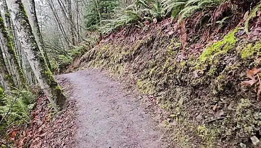 Yağmurlu Bir Günde Yürüyüş-n-sidik