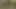 Olgun çift piknik sonrası oynuyor