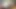 773340190579105792.mp4