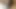 Küçük bir mikropenis cumming ile süper sevimli ladyboy
