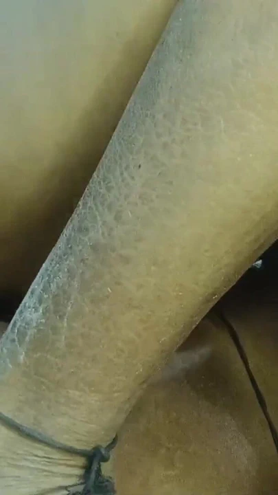 Hintli desi telangana ateşli teyze bowlojab ve har erkek arkadaşıyla numara yapıyor | Klip 2