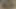 Bu Sarışının Poposu Için 2 Sert Penis