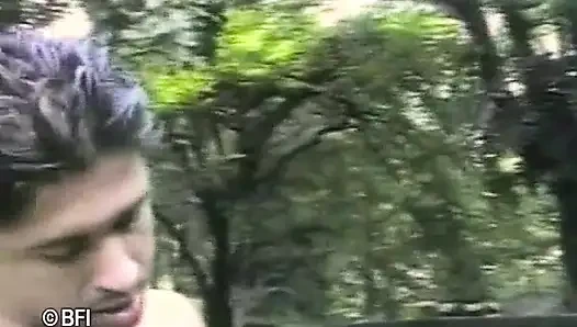 Brasil trans tutkusu 3