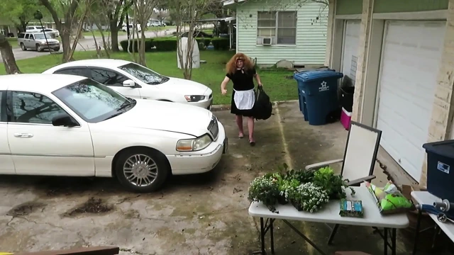 Yaramaz hizmetçi Brittney arabada rujunu unuttu