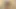 Ateşli ve seksi genç lezbiyenler birbirlerinin amını yalıyor