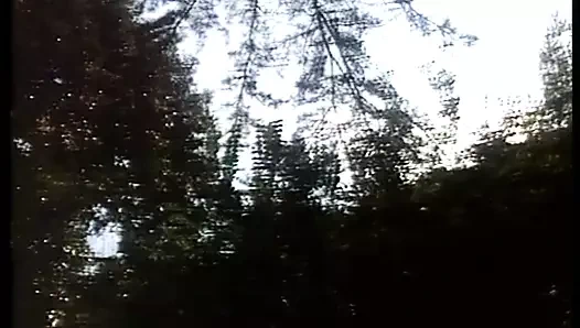 Sodoma piaceri proibiti- tam İtalyan filmi