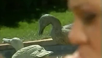 blitz tarafından Shasta (gevşek bizkit)