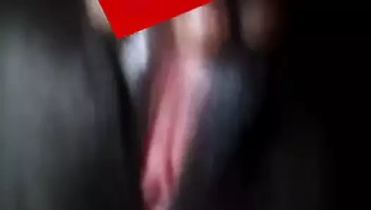 Dany