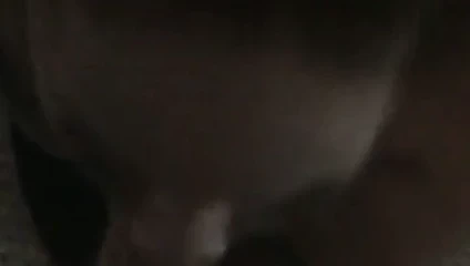 Büyük memeli zenci siyah oral seks