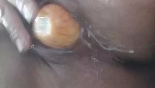 Gösterişli lezzetli kedi