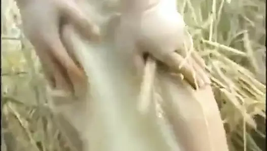 lanet açık havada içinde bir field