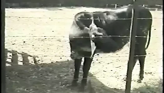 İnanılmaz iyi şekilli sarışın sürtük bir kamyonun arkasında sikiliyor