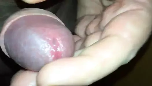 Yakın çekim bu benim horoz ve biraz sağladım 29.12.2015