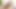 Twistys - yeni yerde kırılma - jenna sativa,lily adam
