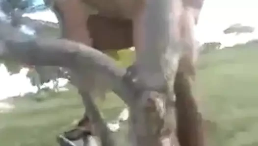Serin doğal veaw