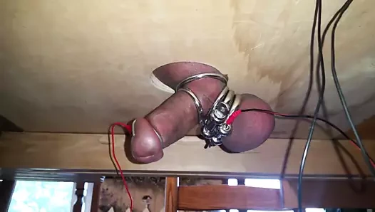 karıcığım yine sağım masasında beni sağıyor