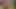 Mycamgirl 1007