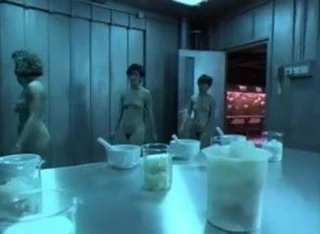 Cmnf - koruyucu (1985)