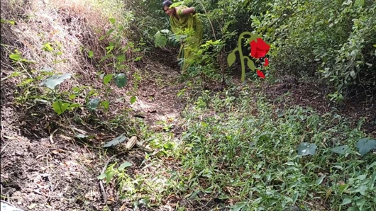 Bhabhi jungle apni brother-in-law se ass marawana chahta rahi aur brother-in-law sister-in-law ki aaj gad maar ega badi loud se