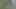 201902171313