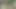 Yaramaz küçük peri fotoğraf çekimi sırasında gizli bahçesinde amıyla oynuyor (genişletilmiş teaser)