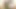 Indian Girl Trades Pussy for Family's Future and Gets Creamed  -AI Generated