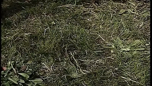 Serveti yayın (1994, biz, tiffany mynx, tam video, dvd)