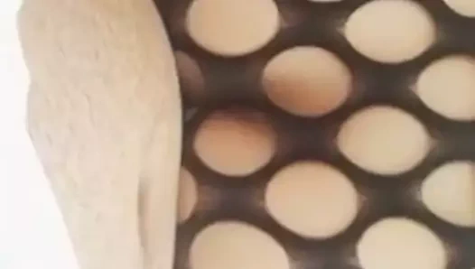 türkçe konuşan seks