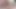 Tushy - Riley Reid ve Paige Owens büyük anal delikler