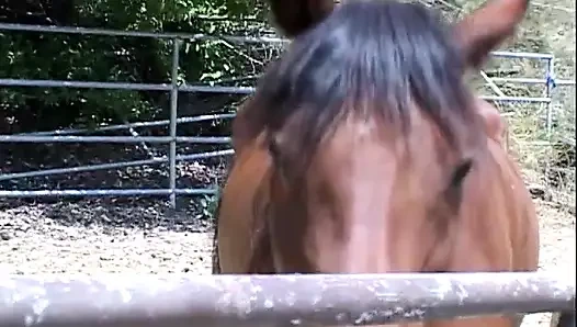 Traktör üzerinde seks, sonunda pissing çok zor onu amından