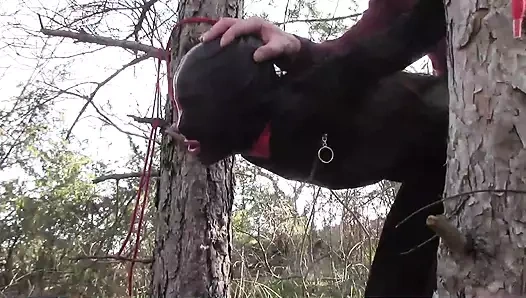 1 saatlik derlemenin fragmanı – yüksek topuklu sert sikiş, bir sürü çığlık, inilti ve orgazm