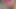 Twistys - üniversiteli kız Kortney Kane tek başına eğleniyor