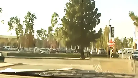 Melrose Foxx minik bir siyah macera yaşıyor