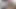 Blacked büyük zenci ile konsantre olamıyor