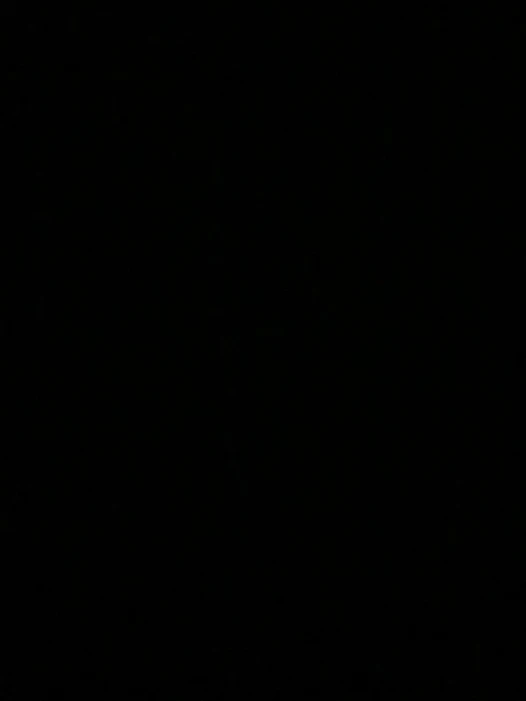 Tüylü amım – kim onunla oynamak ister?