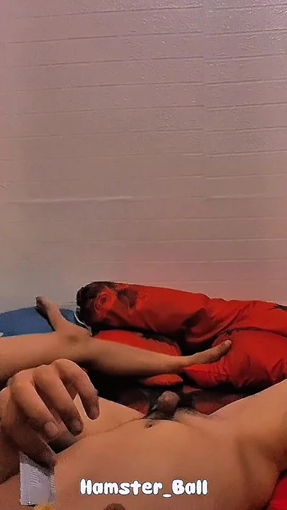 Обязательный для обмена момент из "Я допускаю, что все малайские хиджабы очень хороши в минет хуя"