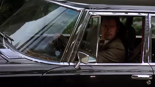 Foxy kahverengi (restore edilmiş)