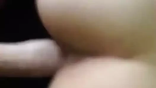 iyi yaşlı köpek 01