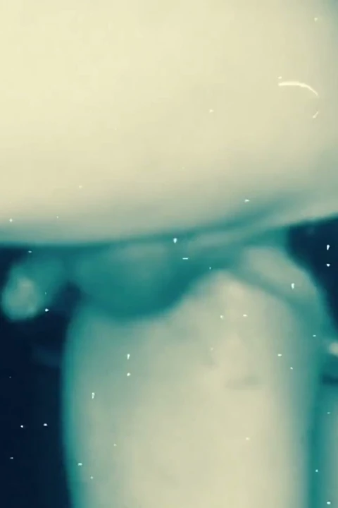 Çift dildoyu video düzenleme ile
