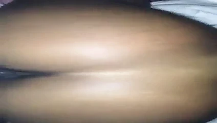 Uzun okşayarak the kedi