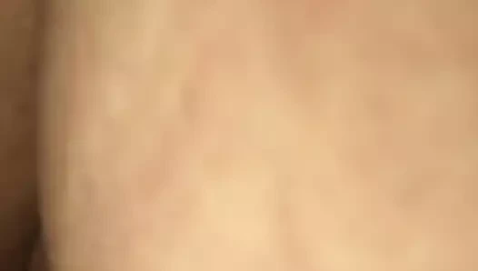 Kahrolası kremsi kedi