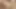 Ünlü büyük memeli latin orta yaşlı seksi kadın sperm tatmadan önce götten sikiliyor